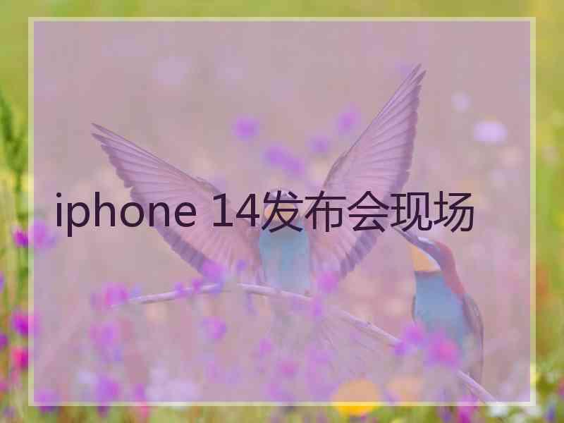 iphone 14发布会现场