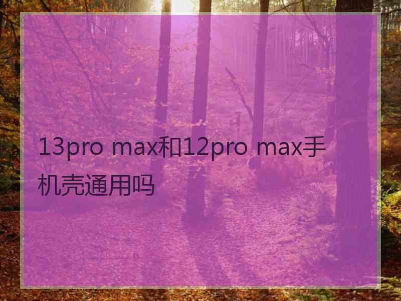 13pro max和12pro max手机壳通用吗