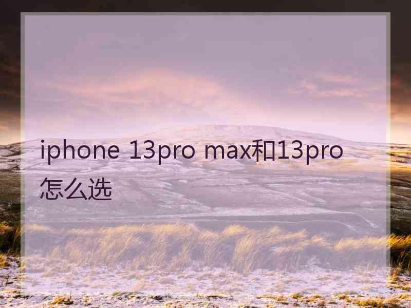 iphone 13pro max和13pro怎么选