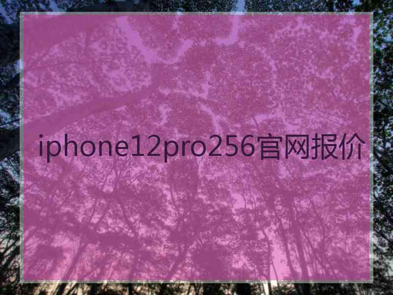 iphone12pro256官网报价