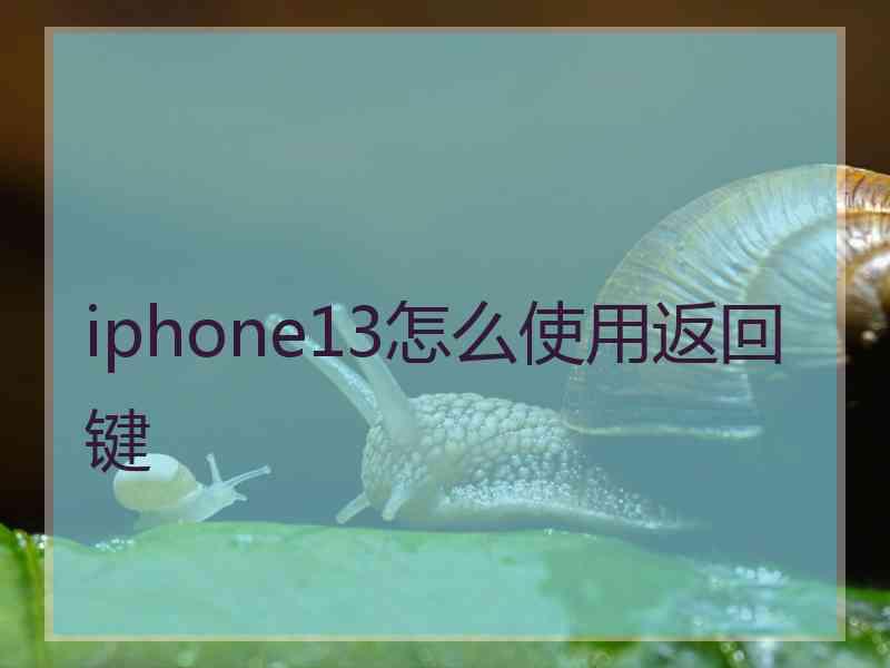 iphone13怎么使用返回键