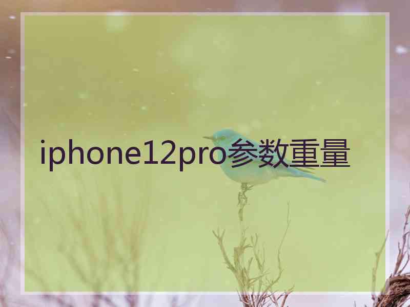 iphone12pro参数重量