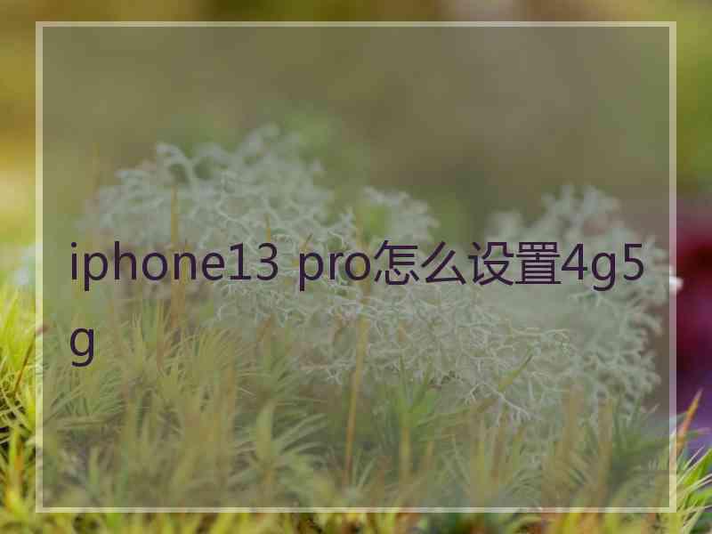 iphone13 pro怎么设置4g5g