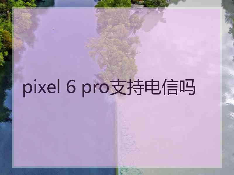 pixel 6 pro支持电信吗