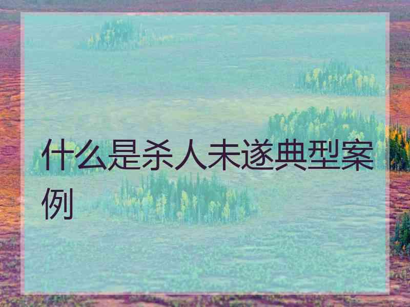 什么是杀人未遂典型案例