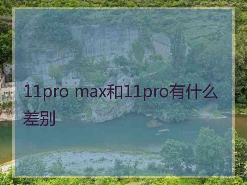 11pro max和11pro有什么差别