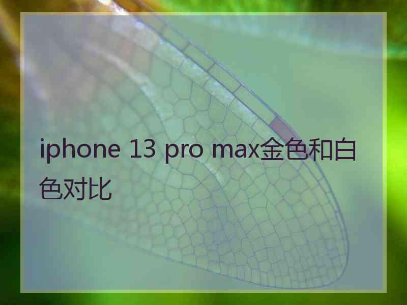 iphone 13 pro max金色和白色对比