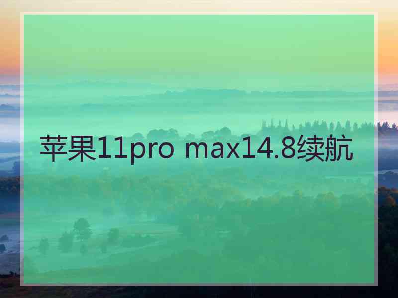 苹果11pro max14.8续航