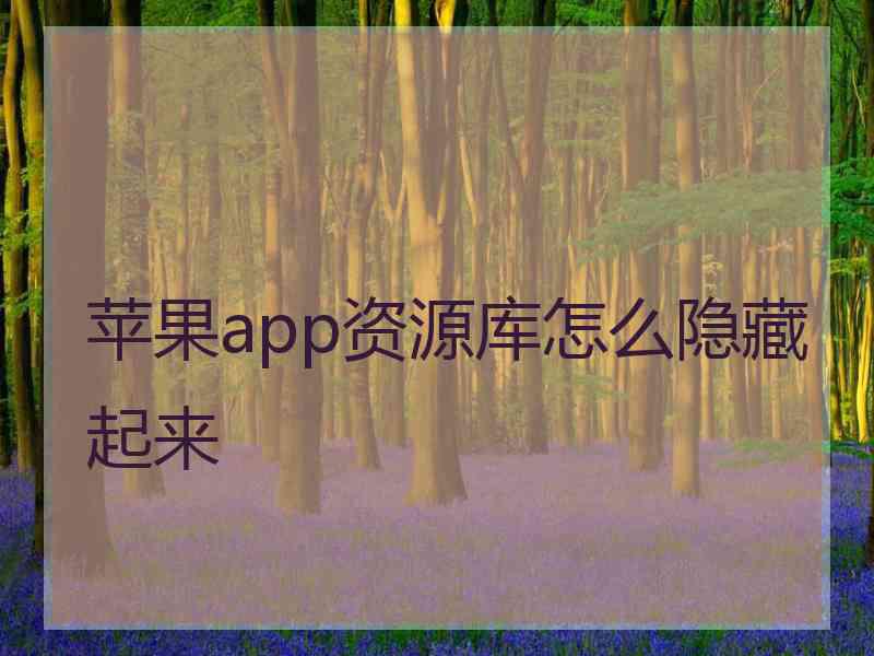 苹果app资源库怎么隐藏起来