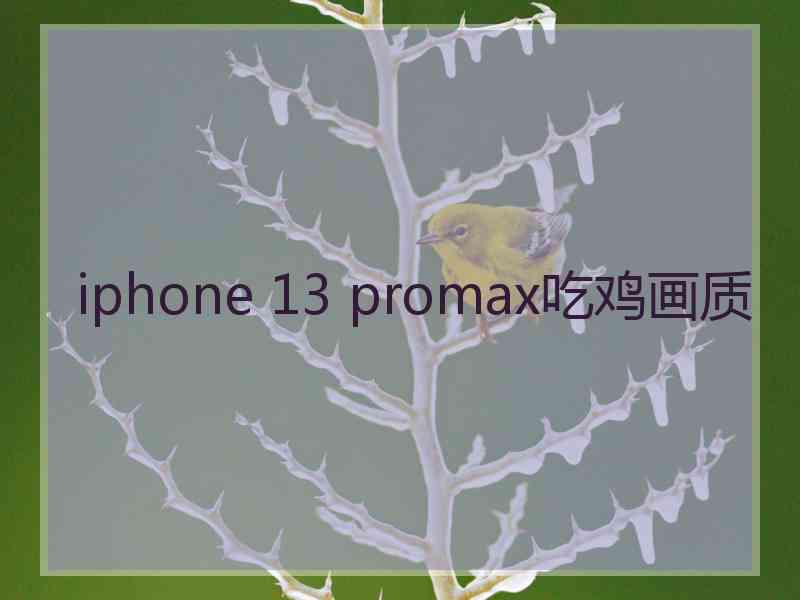 iphone 13 promax吃鸡画质