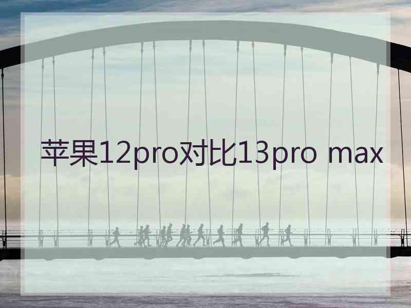 苹果12pro对比13pro max