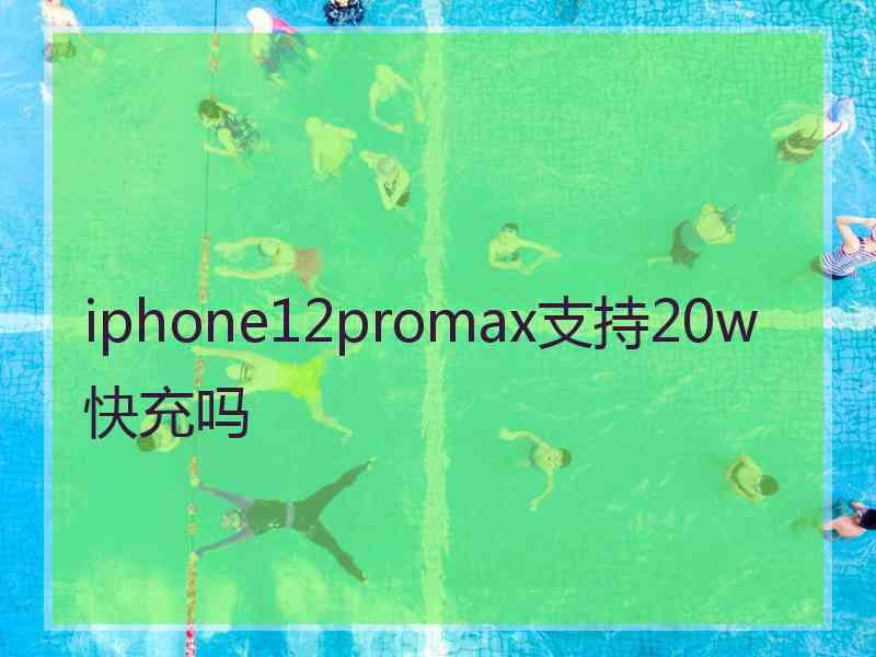 iphone12promax支持20w快充吗