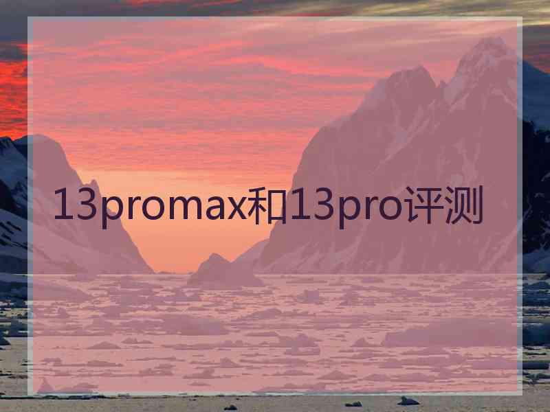 13promax和13pro评测