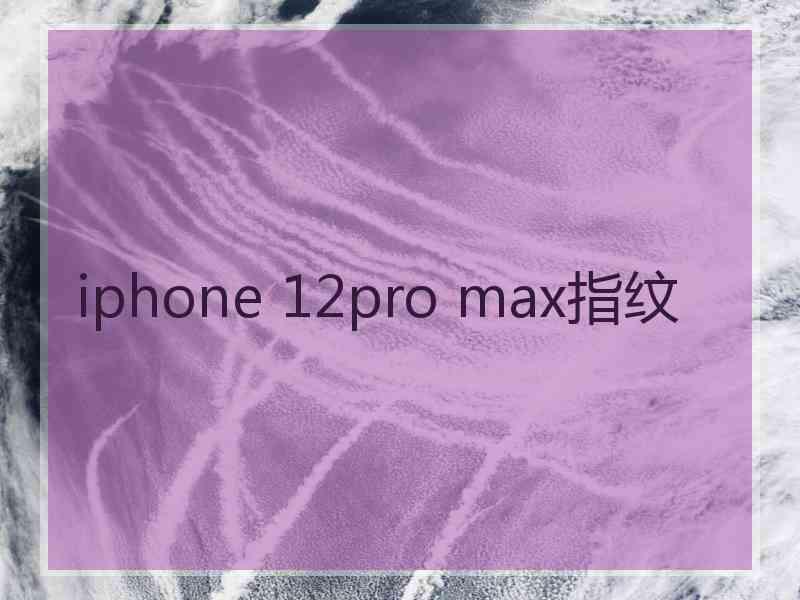 iphone 12pro max指纹