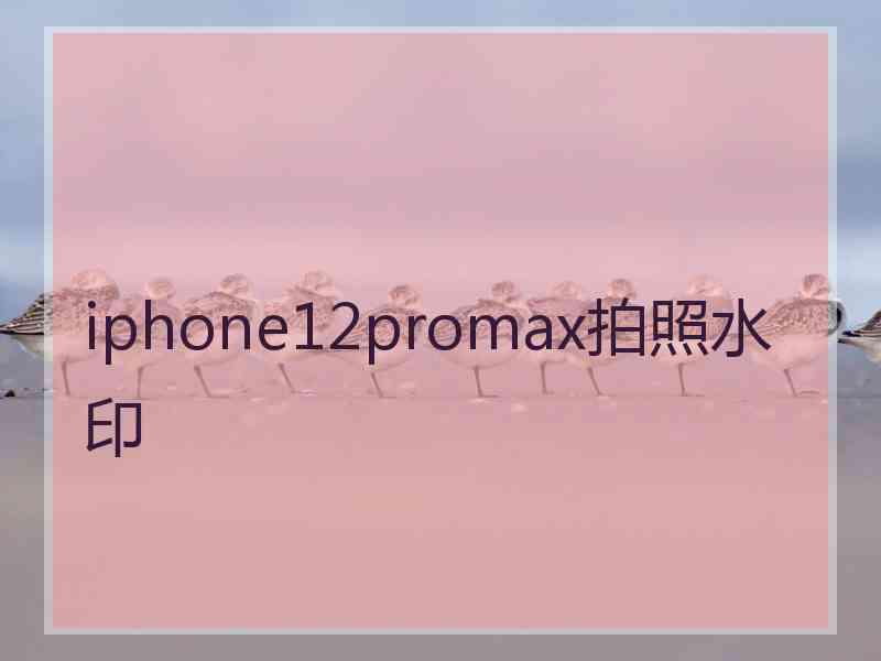 iphone12promax拍照水印