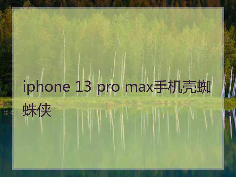 iphone 13 pro max手机壳蜘蛛侠