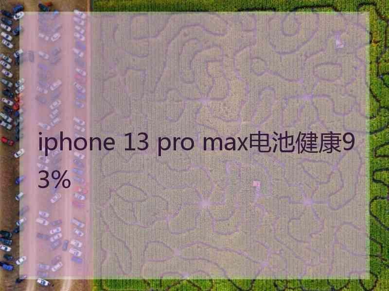 iphone 13 pro max电池健康93%