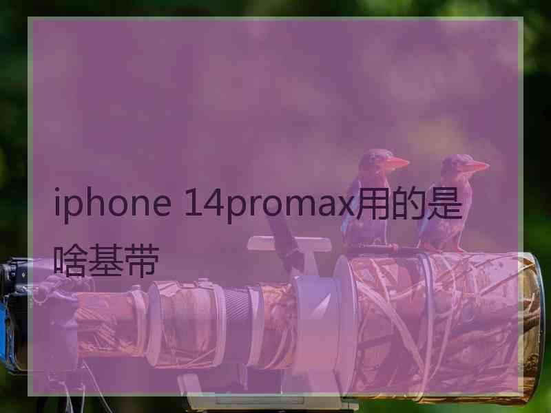 iphone 14promax用的是啥基带