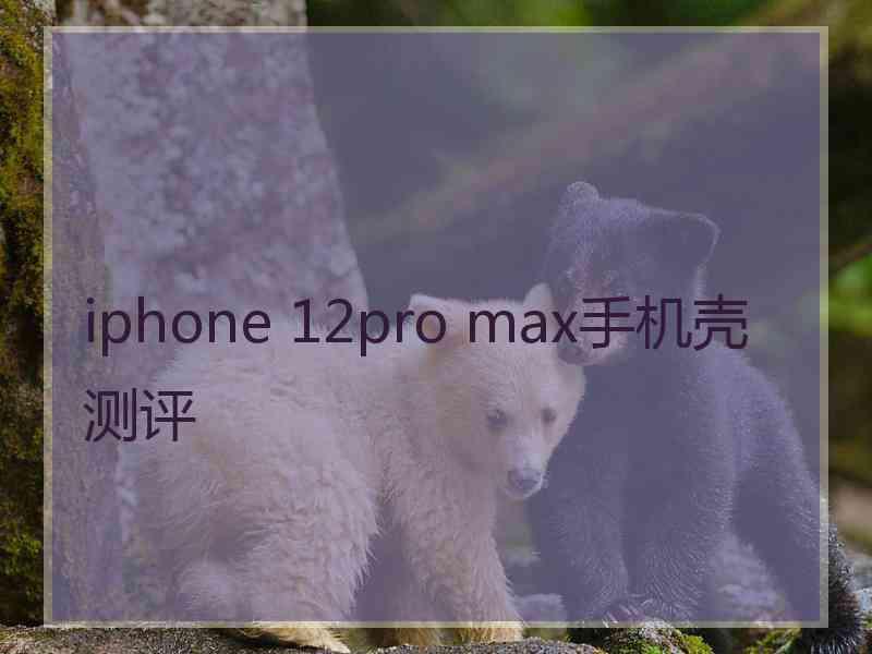 iphone 12pro max手机壳测评