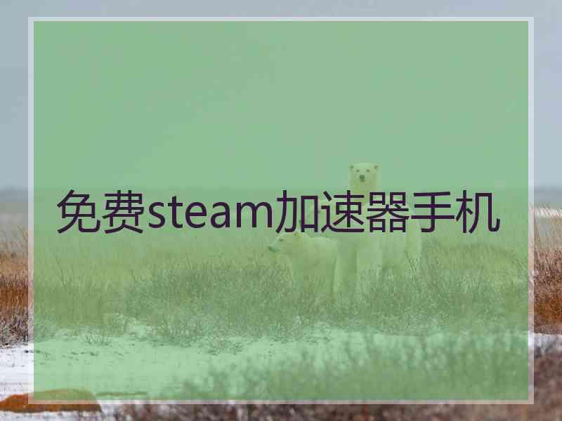 免费steam加速器手机