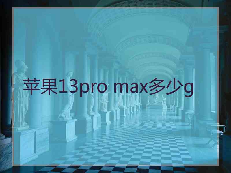 苹果13pro max多少g