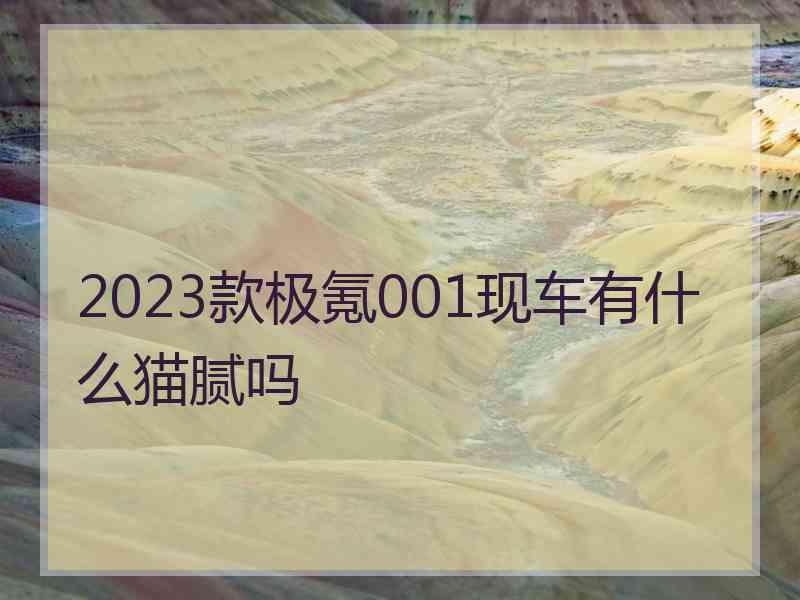 2023款极氪001现车有什么猫腻吗