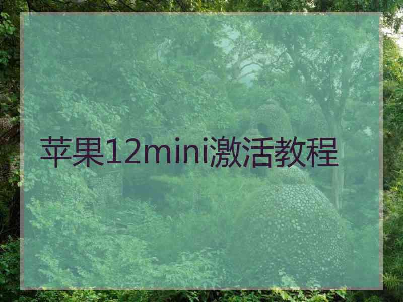 苹果12mini激活教程