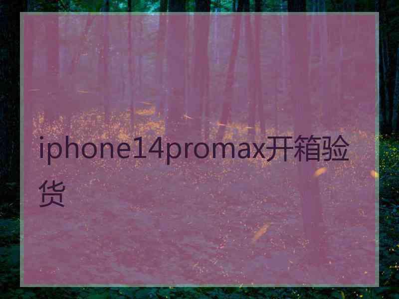 iphone14promax开箱验货