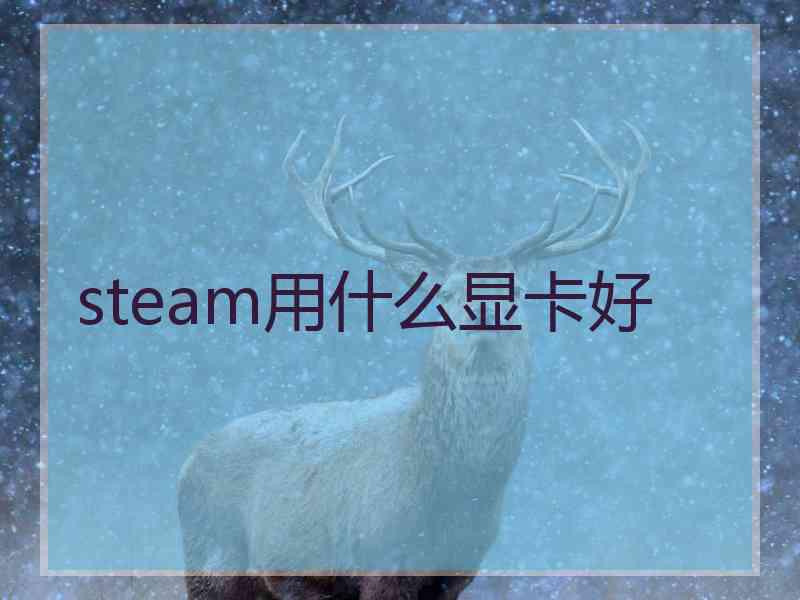 steam用什么显卡好