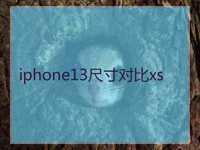 iphone13尺寸对比xs