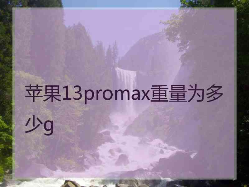 苹果13promax重量为多少g