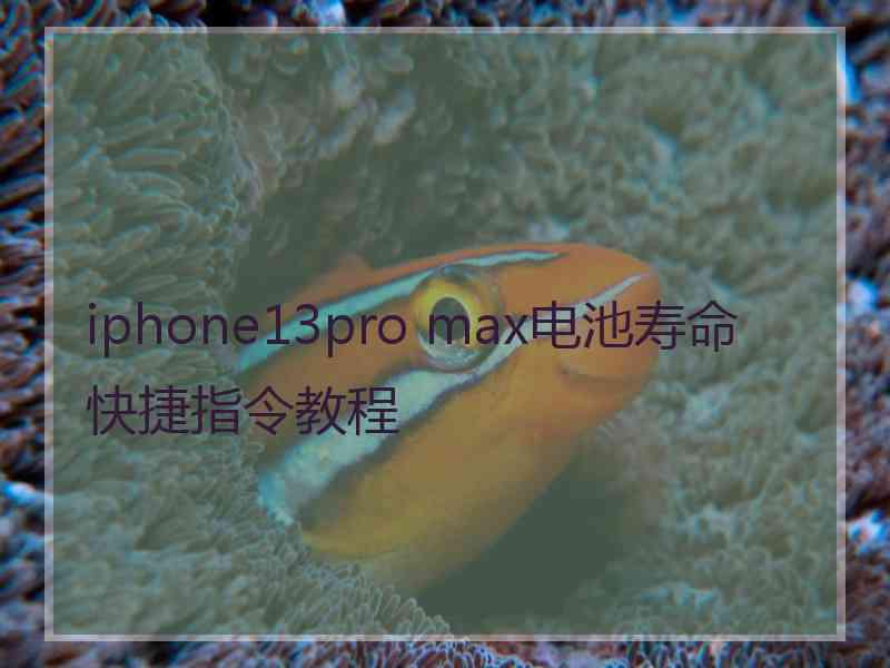 iphone13pro max电池寿命快捷指令教程