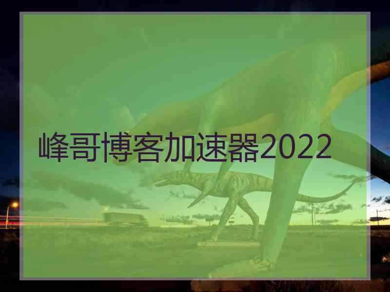 峰哥博客加速器2022