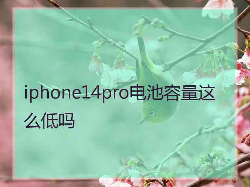 iphone14pro电池容量这么低吗