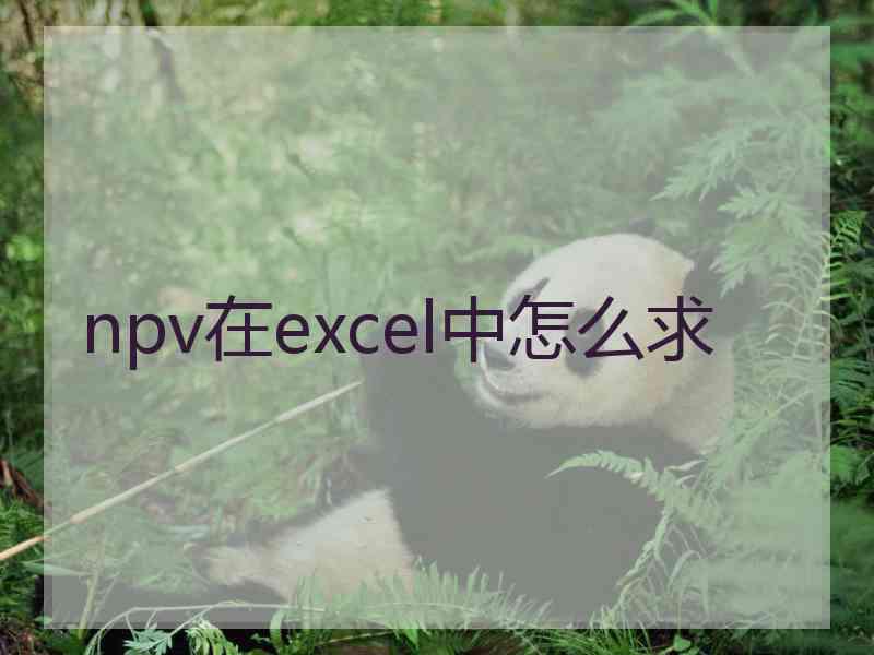 npv在excel中怎么求