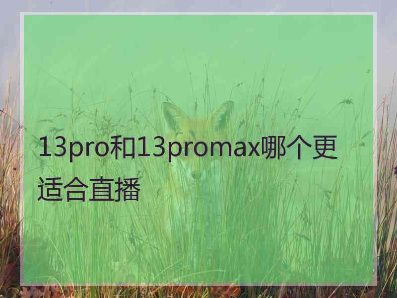 13pro和13promax哪个更适合直播