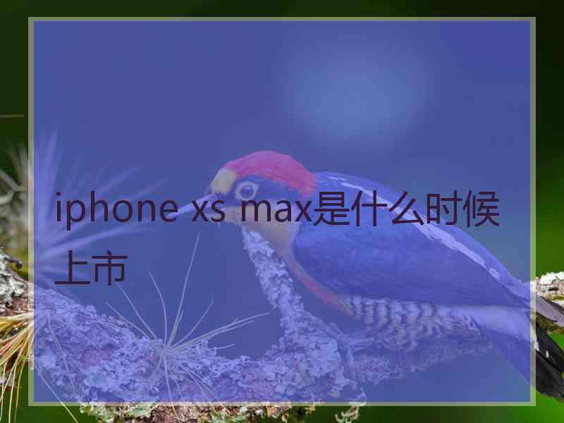 iphone xs max是什么时候上市