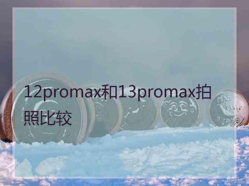 12promax和13promax拍照比较