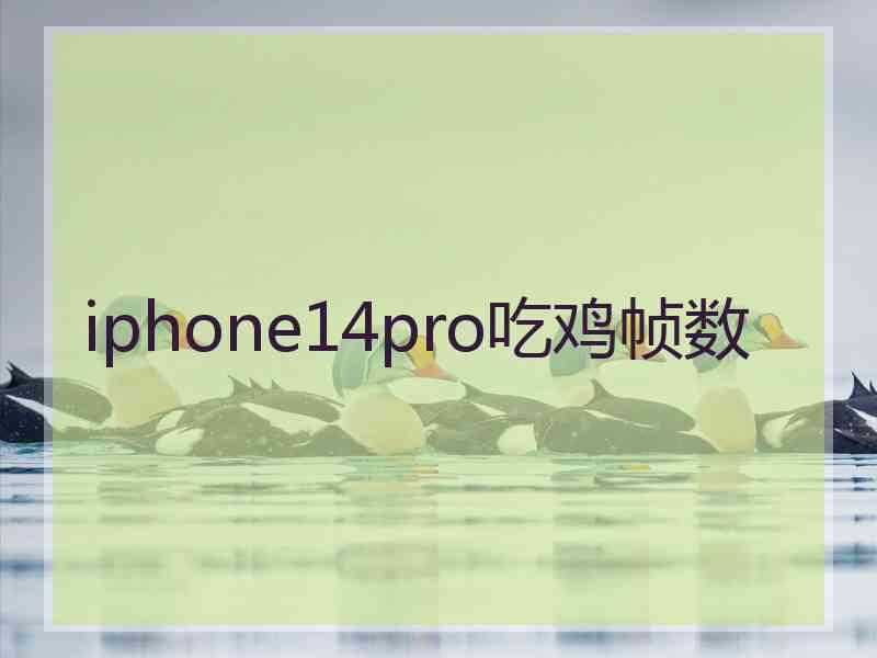 iphone14pro吃鸡帧数