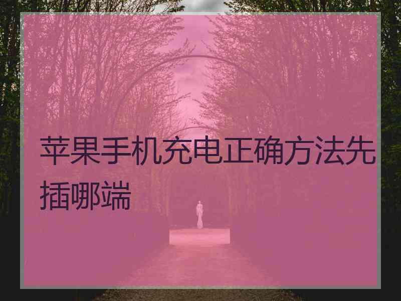 苹果手机充电正确方法先插哪端