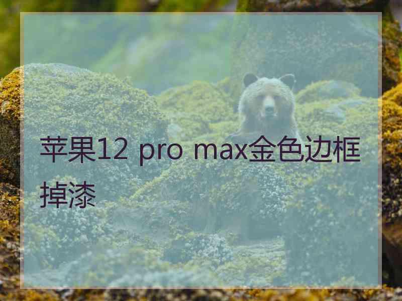 苹果12 pro max金色边框掉漆