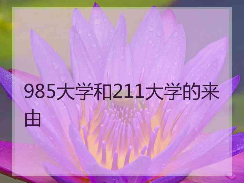 985大学和211大学的来由