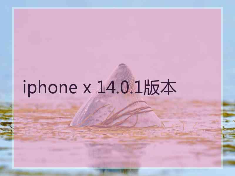 iphone x 14.0.1版本