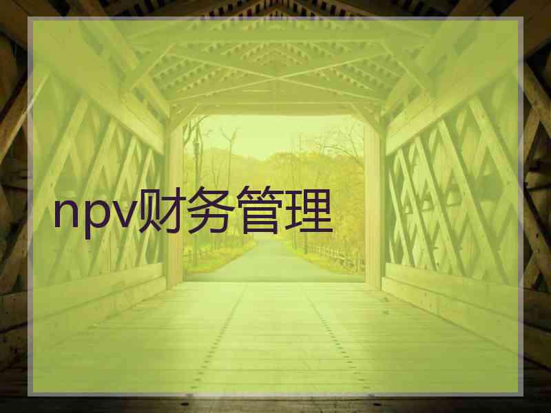 npv财务管理