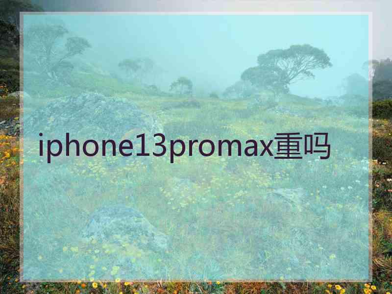 iphone13promax重吗