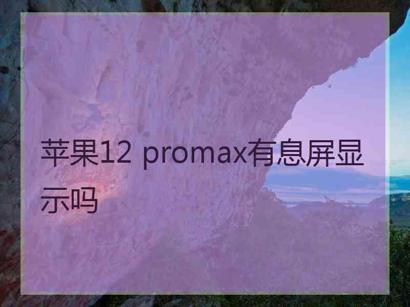 苹果12 promax有息屏显示吗