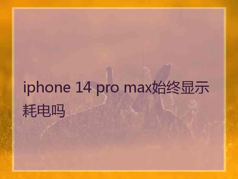 iphone 14 pro max始终显示耗电吗