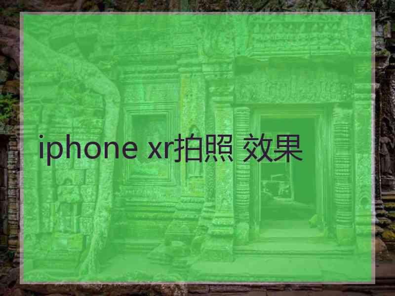 iphone xr拍照 效果