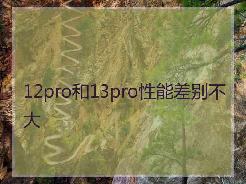 12pro和13pro性能差别不大