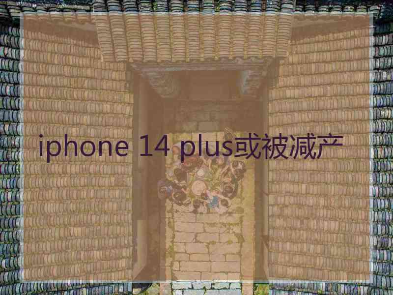 iphone 14 plus或被减产